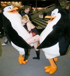 как обойти запрет вконтакте бесплатно