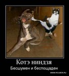 что дает лайк вконтакте