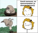 прога для накрутки опросов вконтакте