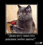 хакерский софт для вконтакте