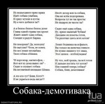 прога для накрутки опросов вконтакте