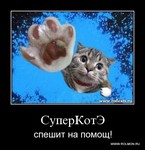 восстановлени страницы вконтакте