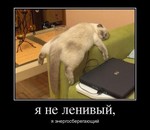 статус закрытые страницы вконтакте