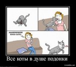 вконтакте поиск мызуки