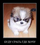 прикол для подруги вконтакте