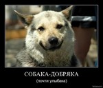 vkontakte ru login